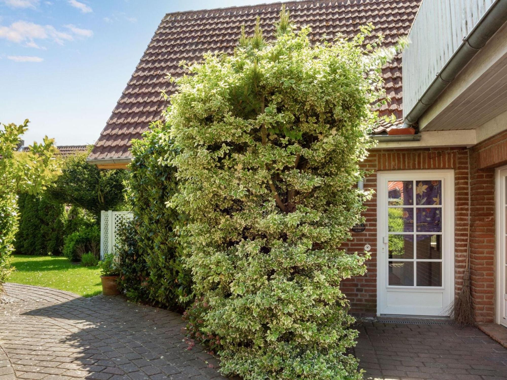 Enticing Holiday Home In Oldenburg With Garden Near Sea Dannau 外观 照片